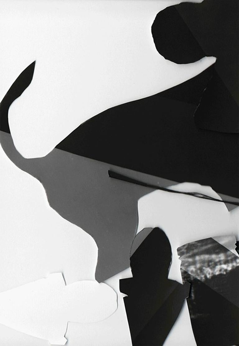 Recorte #2 - Black, gray, & white abstract cut-out collage w/ dog & coffee mugs - Photograph by Joana P. Cardozo