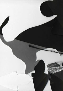 Recorte #2 - Black, gray, & white abstract cut-out collage w/ dog & coffee mugs