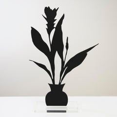 Curcuma Ginger - Floral black shadow flower bouquet plant sculpture, nature