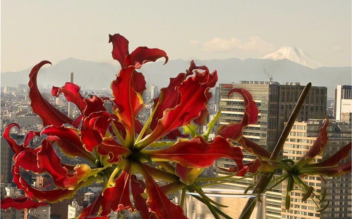 One View Mount Fuji (Tokyo) - Flame lily flower, paintbrush, artist studio still - Photograph by Torrie Groening