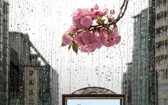 Spring Predictor (Vancouver) - Pink peonies & rain, artist studio still life