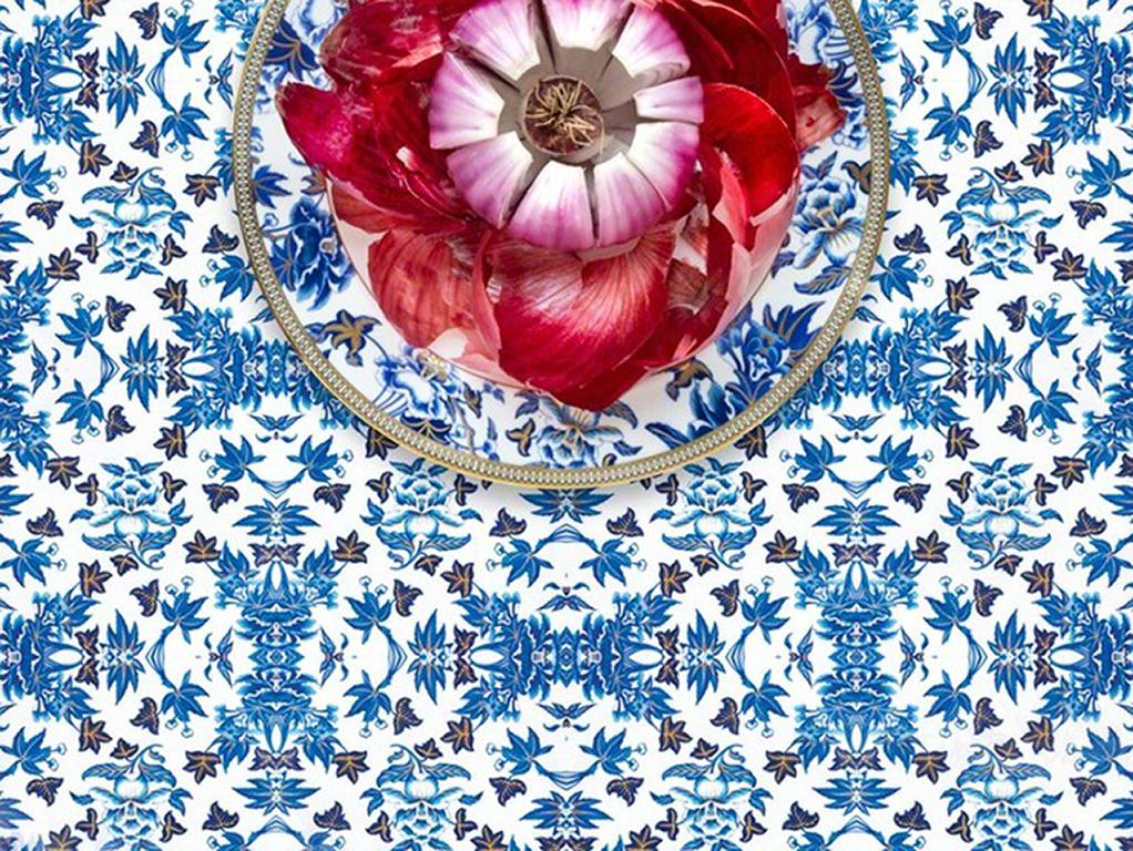 Wedgwood Hibiscus with Red Onion - Blue, white, & red pattern food still life - Contemporary Photograph by JP Terlizzi