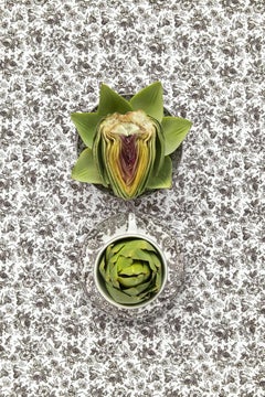 Spode Delamere with Artichoke - Gray, white & green pattern food still life