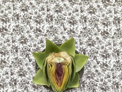 Spode Delamere with Artichoke - Gray, white & green pattern food still life
