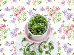 Lenox Butterfly Meadow with Broccolini - Floral butterfly green food still life