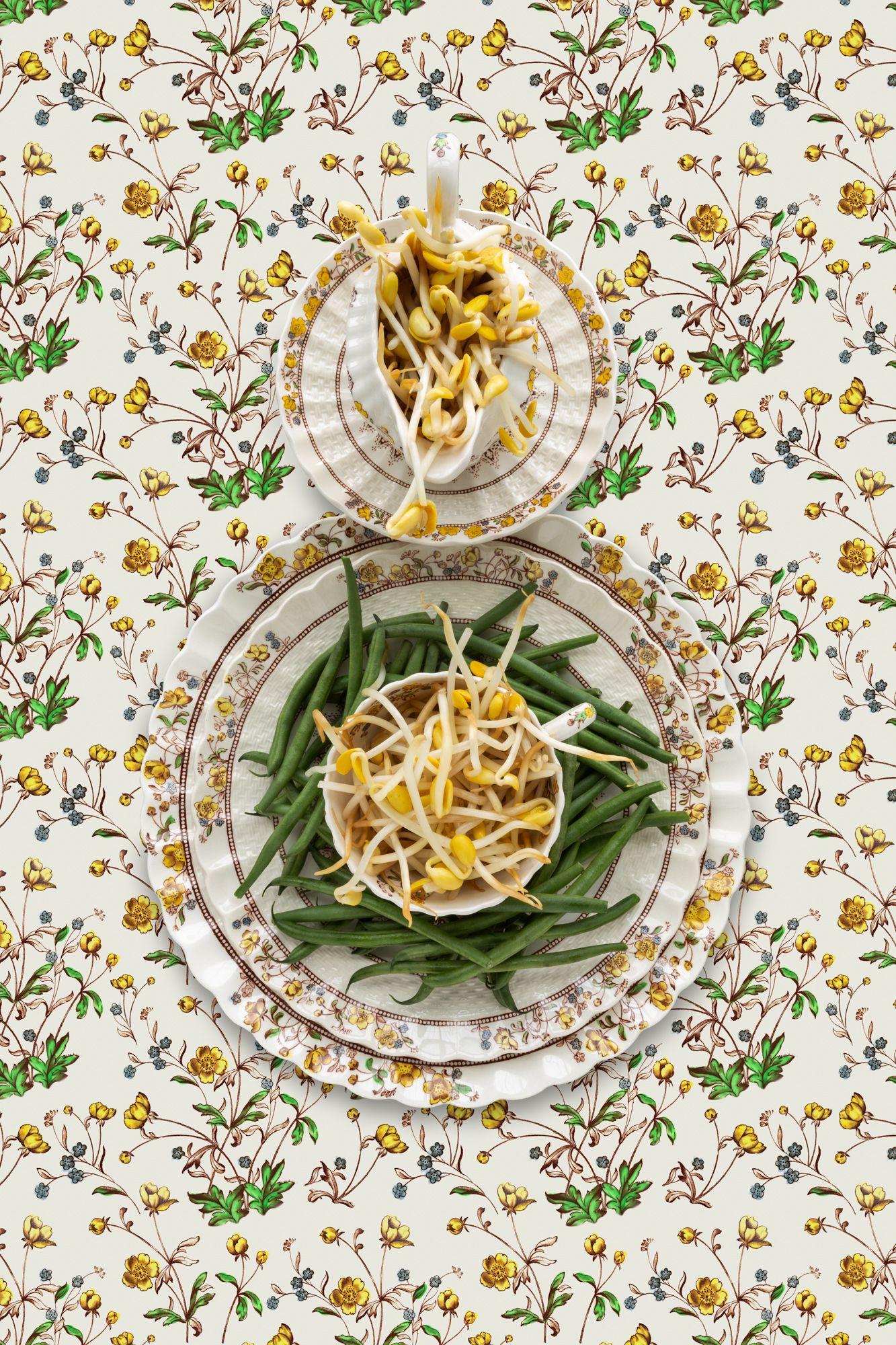 JP Terlizzi Color Photograph - Spode Buttercup with Beans - Green & yellow string beans & sprouts still life