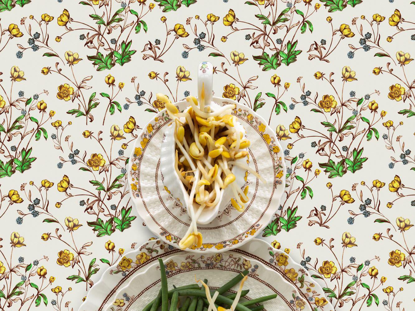 Spode Buttercup with Beans - Green & yellow string beans & sprouts still life - Photograph by JP Terlizzi