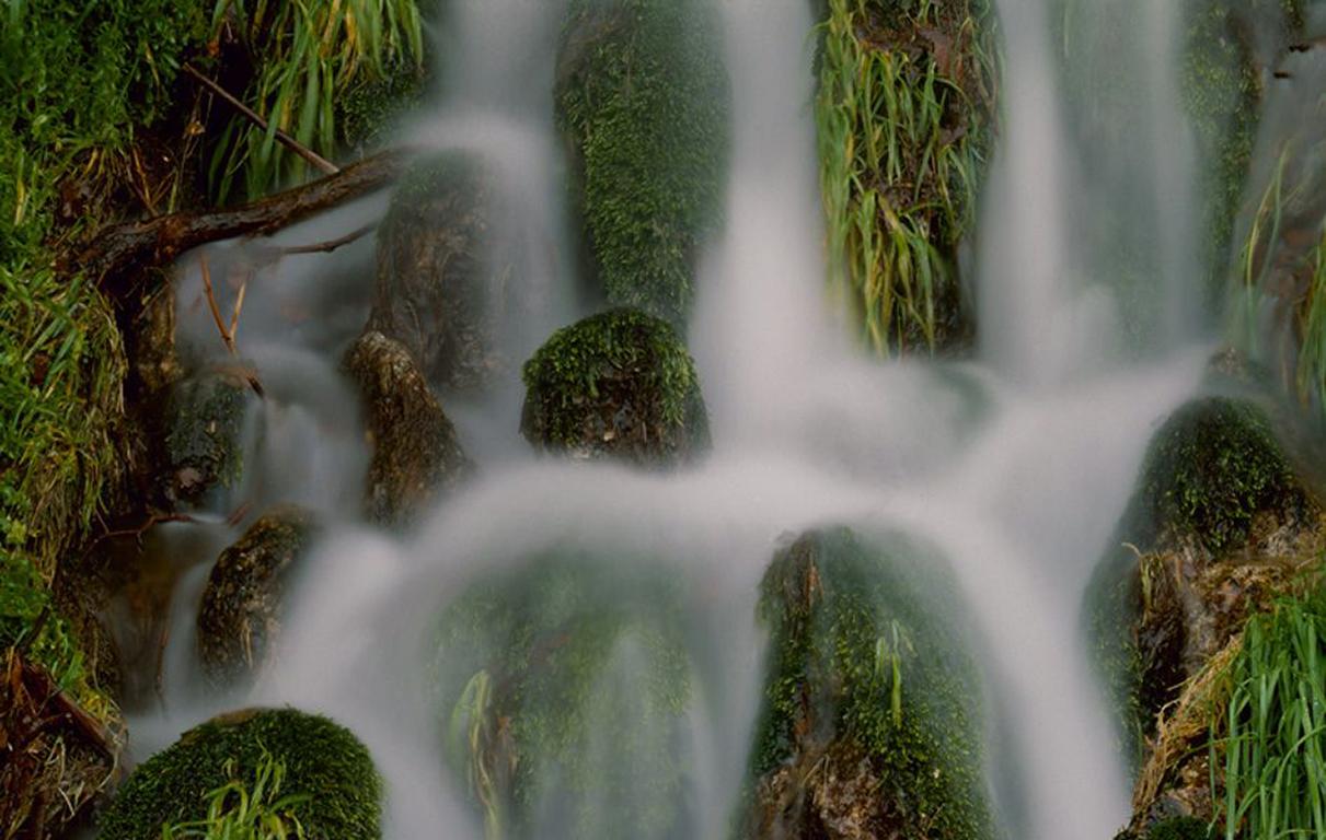 Flowing Water - Misty waterfall nature landscape w/ rocks & lush green plants - Photograph by Joe Aker