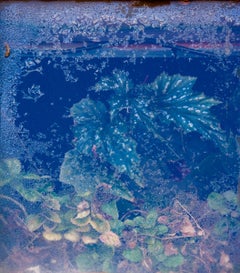 Lacey Leaf - Underwater blue & green nature landscape w/ textured leaves