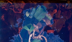 Ruby Red - Soft, abstract blue red texture nature landscape with plant flora