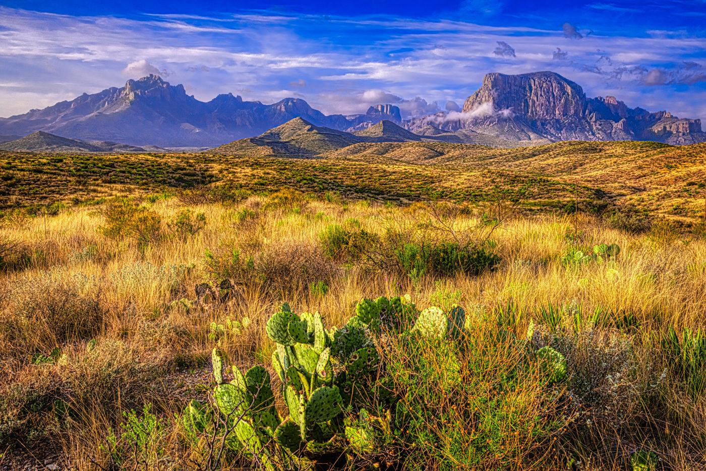 Alan Montgomery Landscape Photograph - Big Bend 1 - Texas nature landscape with blue sky, mountains, tall grass & cacti