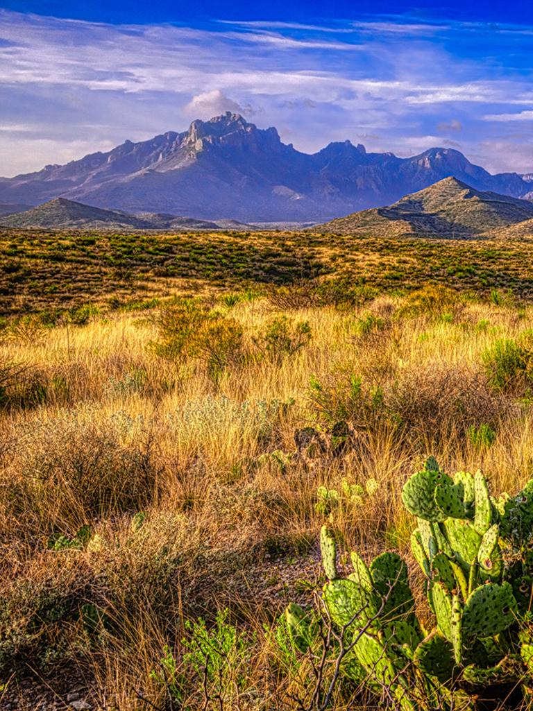 Big Bend 1 - Texas nature landscape with blue sky, mountains, tall grass & cacti - Photograph by Alan Montgomery