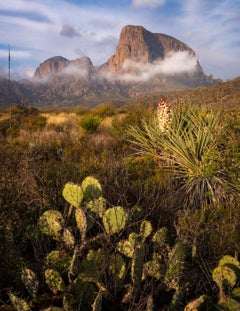 Big Bend 2 - Texas nature landscape with blue sky, mountains, tall grass & cacti