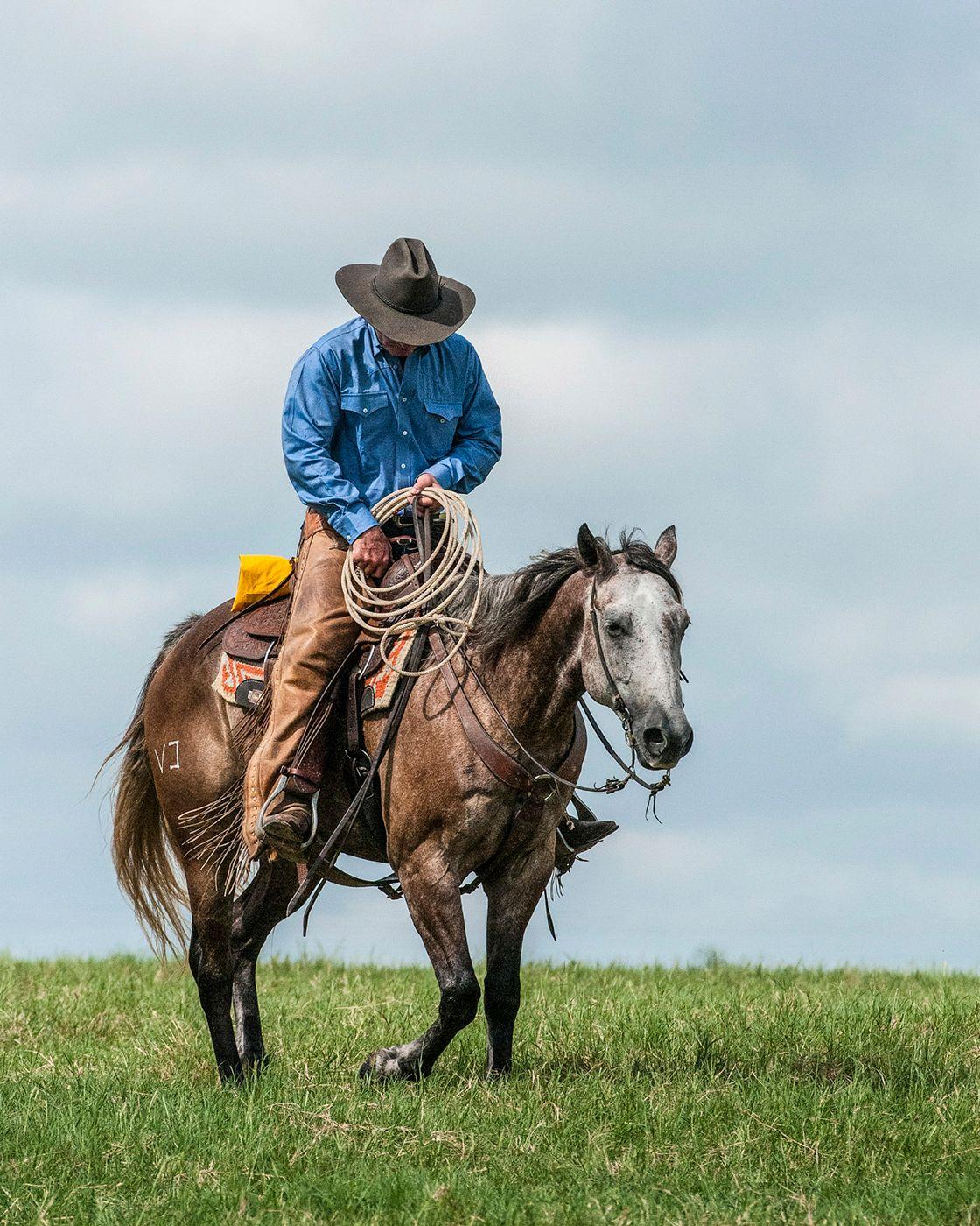 Alan Montgomery Landscape Photograph - Weary Cowboy - Texas man in blue shirt & gray hat riding brown & white horse