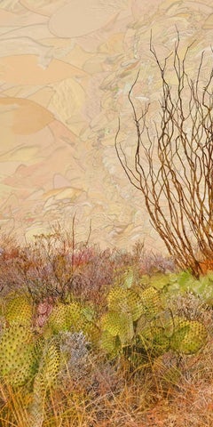 Ocotillo - Desert plant, cacti & dry brush, tan Southwestern American landscape