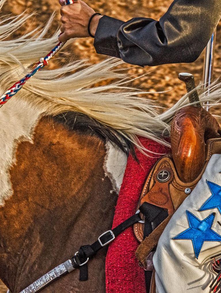 Star Saddle - Red, white & blue saddle and chaps, Texas rodeo rider and horse - Photograph by Mike Marvins