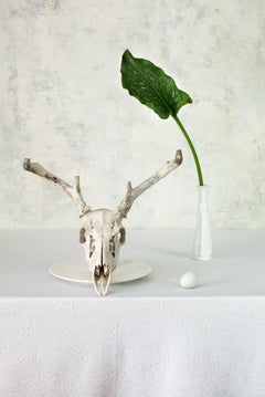 Off White 6 - Still life table setting w/ skull, egg, & calla lily leaf in vase