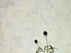 Off White 10 - Still life table setting w/ pumpkins & plant, white tea set