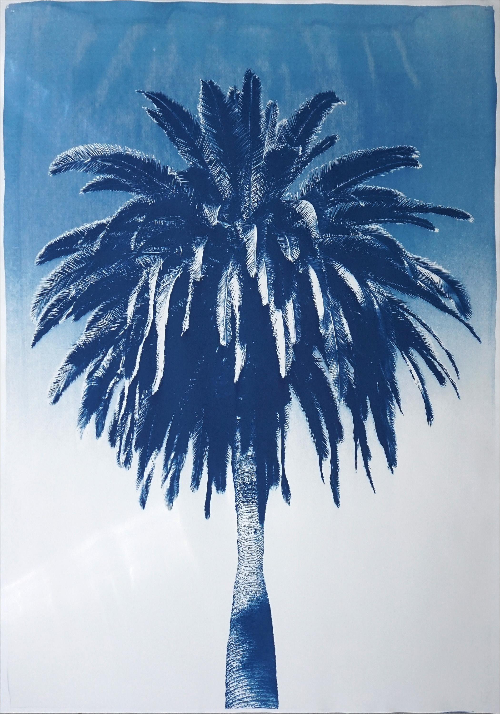 Blue Triptych of Trio of Palms, Tropical Botanical Cyanotype, Watercolor Paper 1