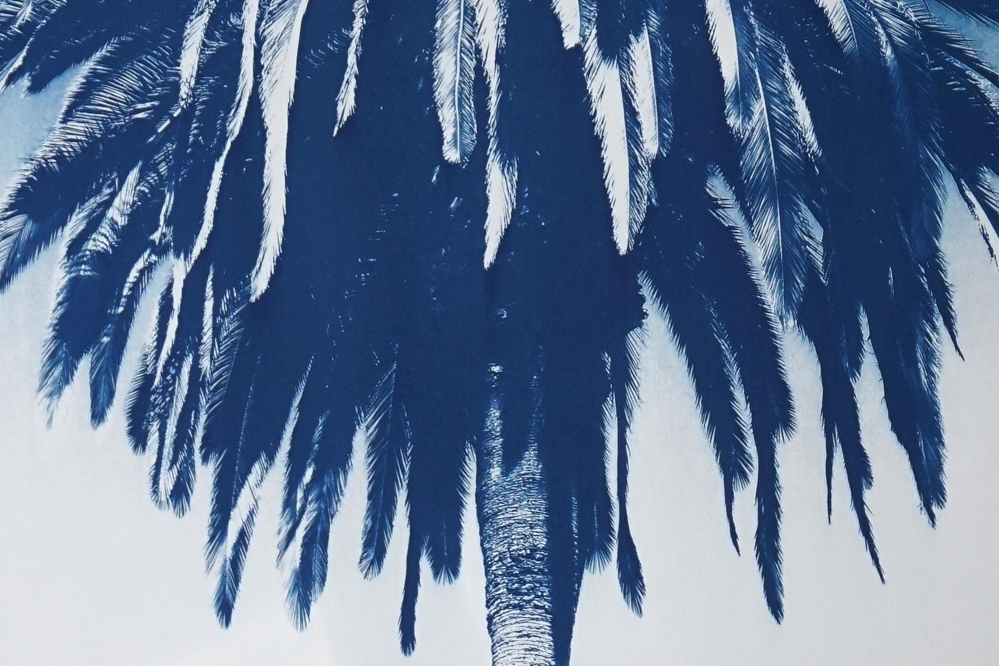 Blue Triptych of Trio of Palms, Tropical Botanical Cyanotype, Watercolor Paper 6