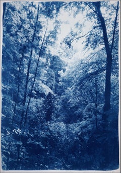 Soft Light in the Woods, Forest Landscape, Blue Tones, Handmade Cyanotype Print