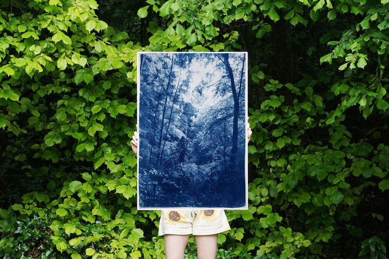 This is an exclusive handprinted limited edition of a cyanotype print.
This beautiful image shows the subtle afternoon light going through the woods during the summer. 

Details:
+ Title: Soft Light in the Woods
+ Year: 2023
+ Edition Size: 100
+