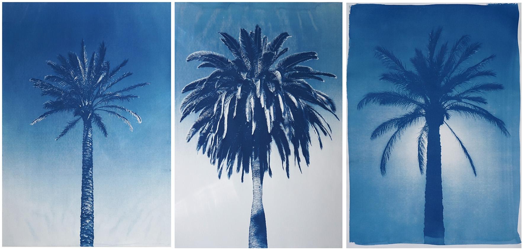 Kind of Cyan Still-Life Print – Blaues Triptychon mit Palmenbesatz, tropische botanische Zyanotypie, Aquarellpapier