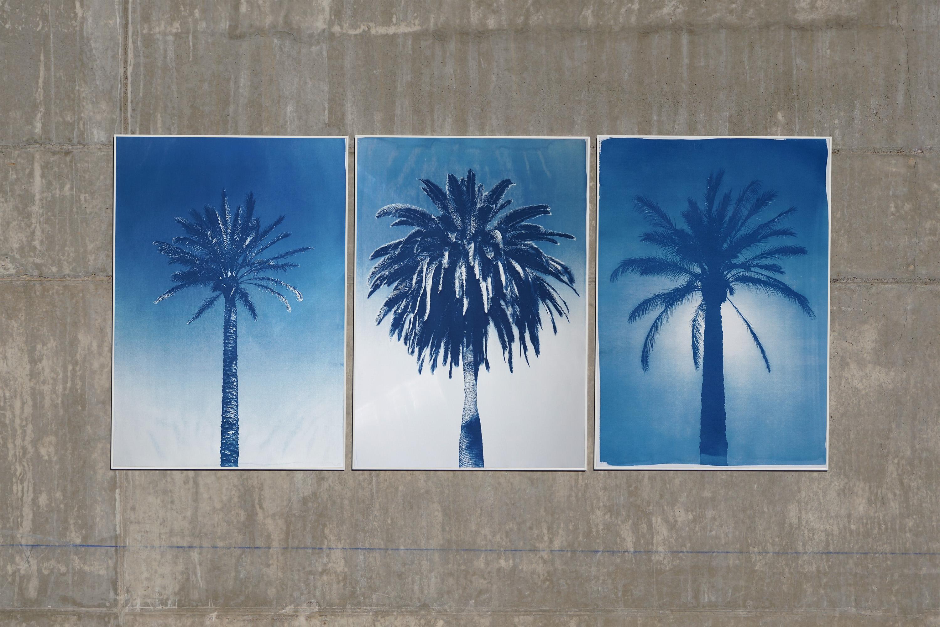 Blaues Triptychon mit Palmenbesatz, tropische botanische Zyanotypie, Aquarellpapier – Print von Kind of Cyan