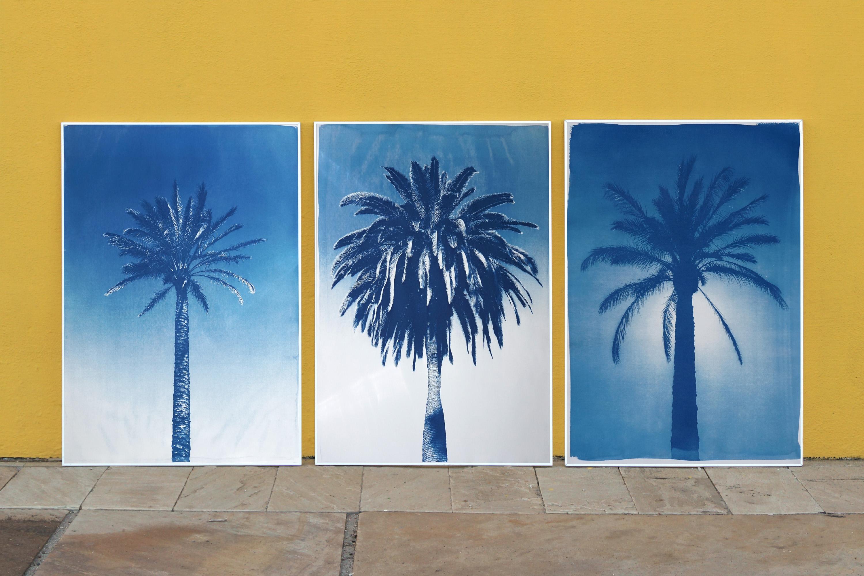 Blaues Triptychon mit Palmenbesatz, tropische botanische Zyanotypie, Aquarellpapier (Naturalismus), Print, von Kind of Cyan