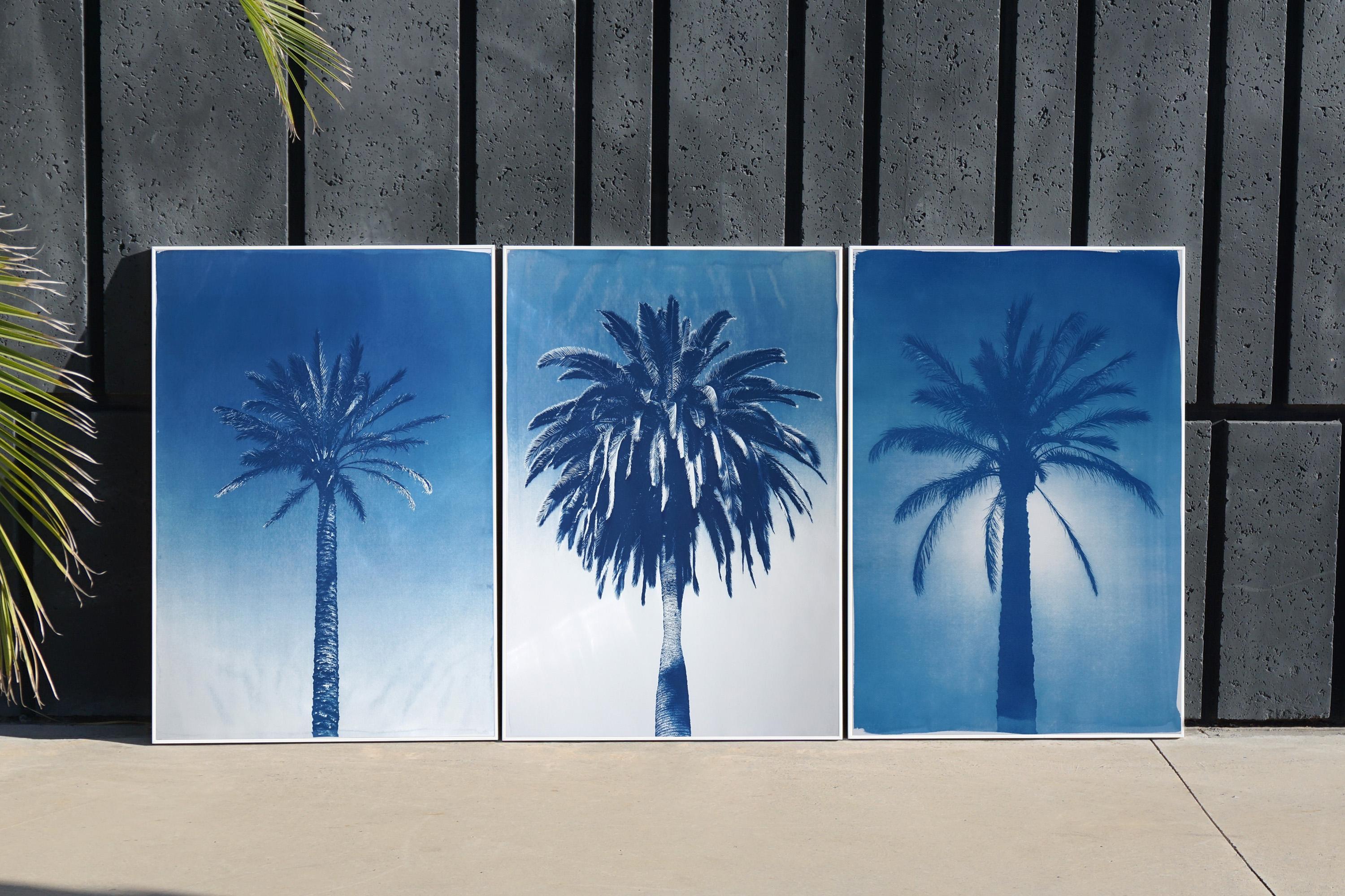 Triptyque bleu de trois palmiers, cyanotype botanique tropical, papier aquarelle - Bleu Still-Life Print par Kind of Cyan