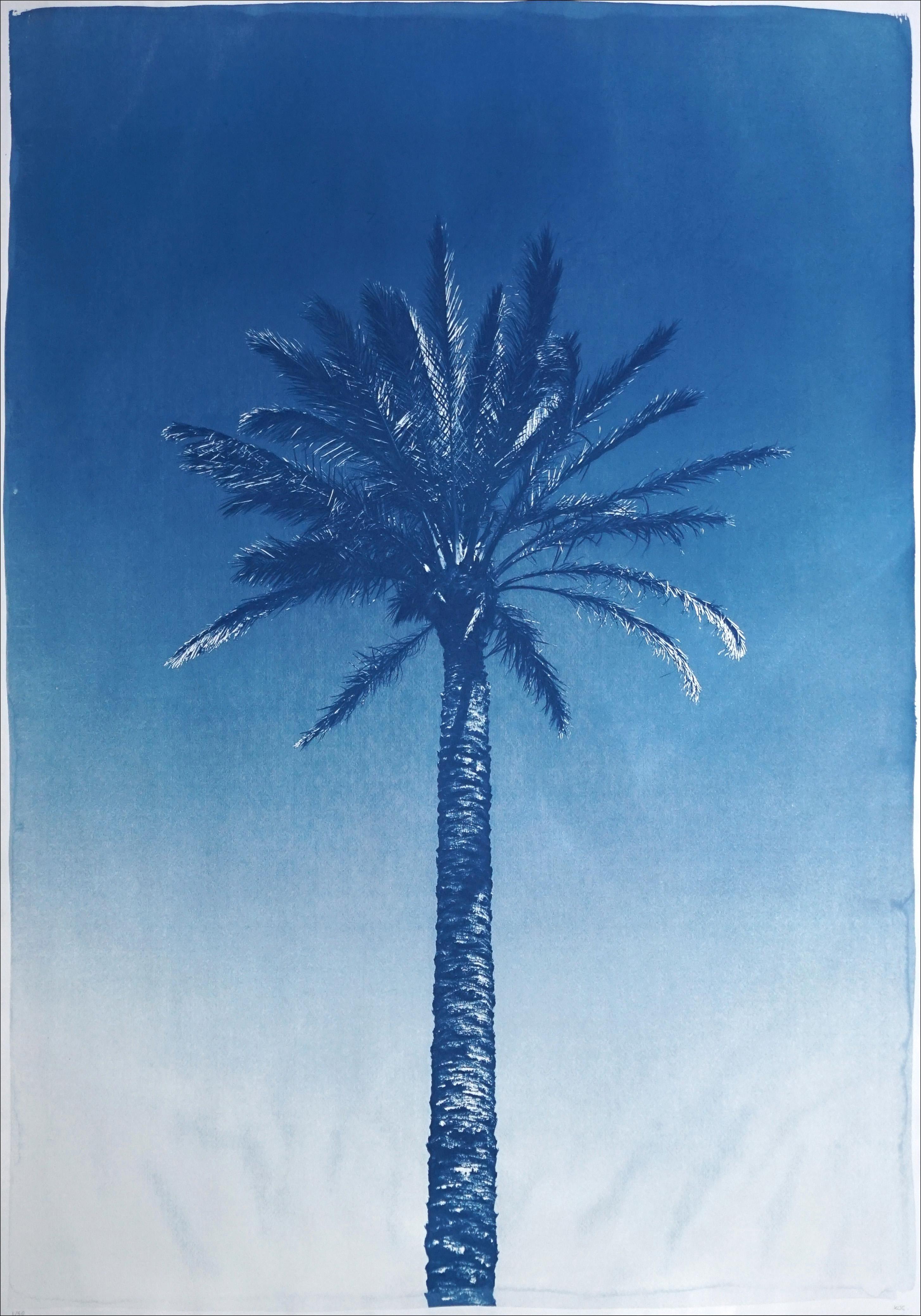 Triptyque bleu de trois palmiers, cyanotype botanique tropical, papier aquarelle en vente 1