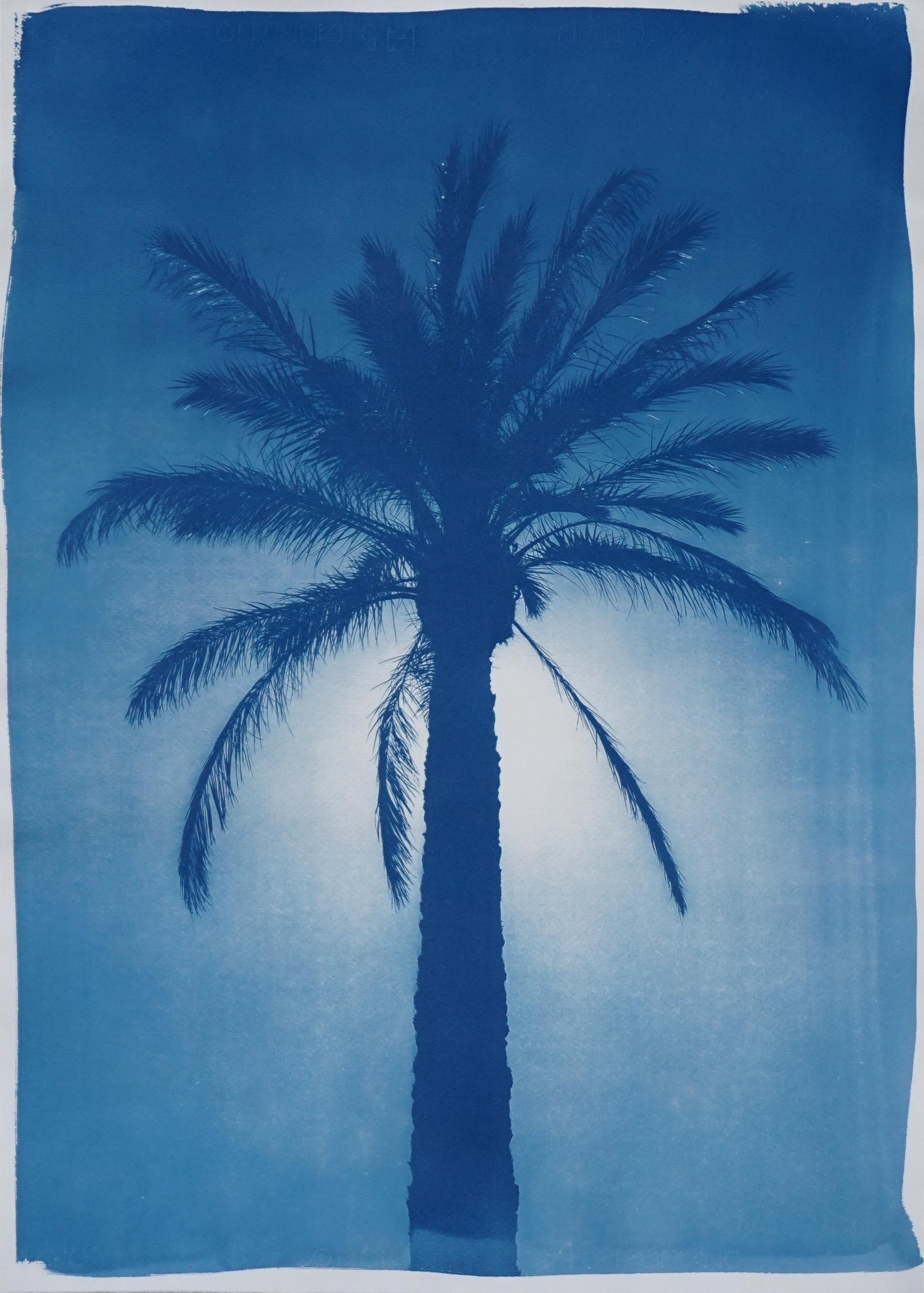Trittico blu di trio di palme, cianotipo botanico tropicale, carta acquerellata in vendita 2