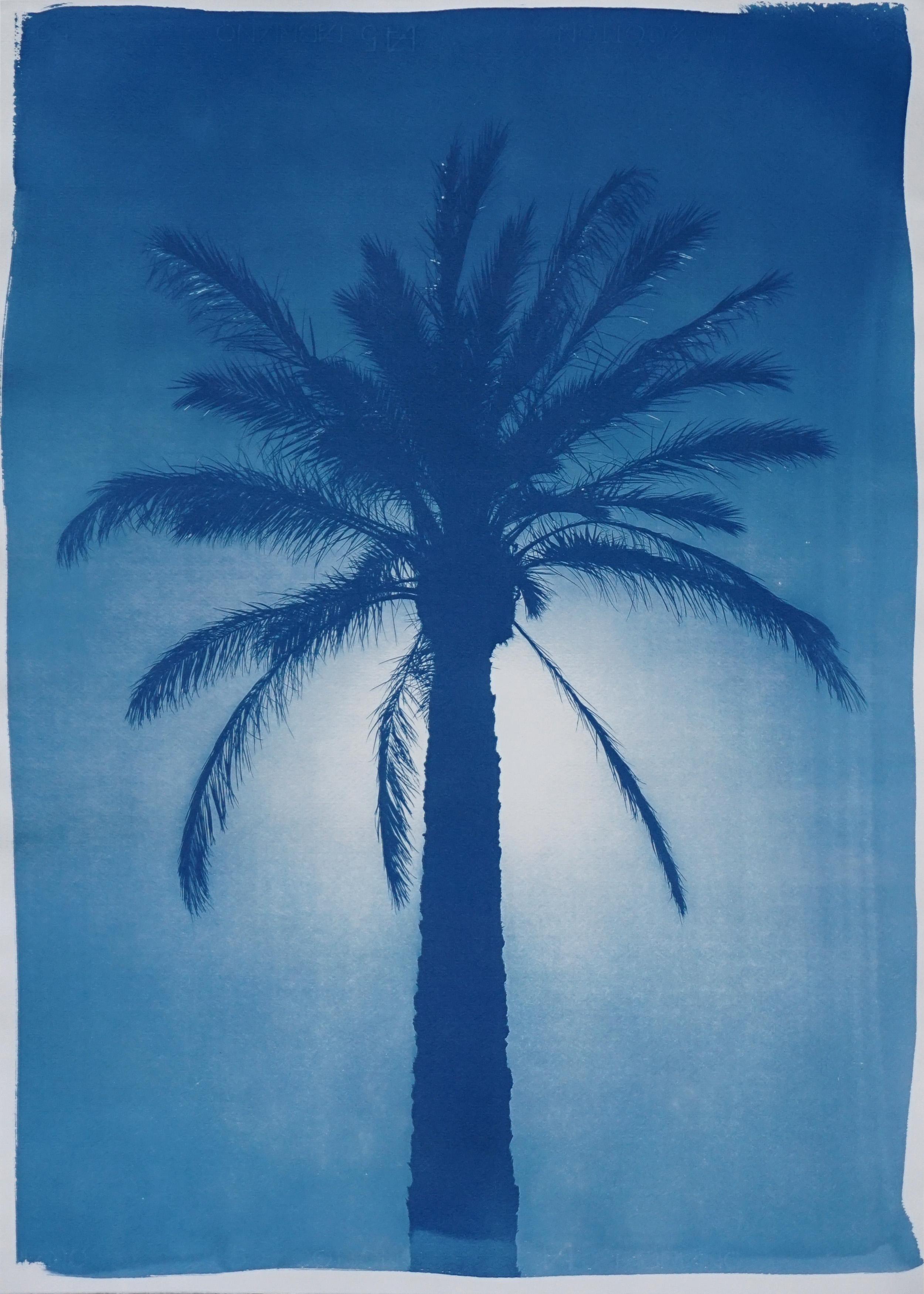 Triptyque bleu de trois palmiers, cyanotype botanique tropical, papier aquarelle en vente 2