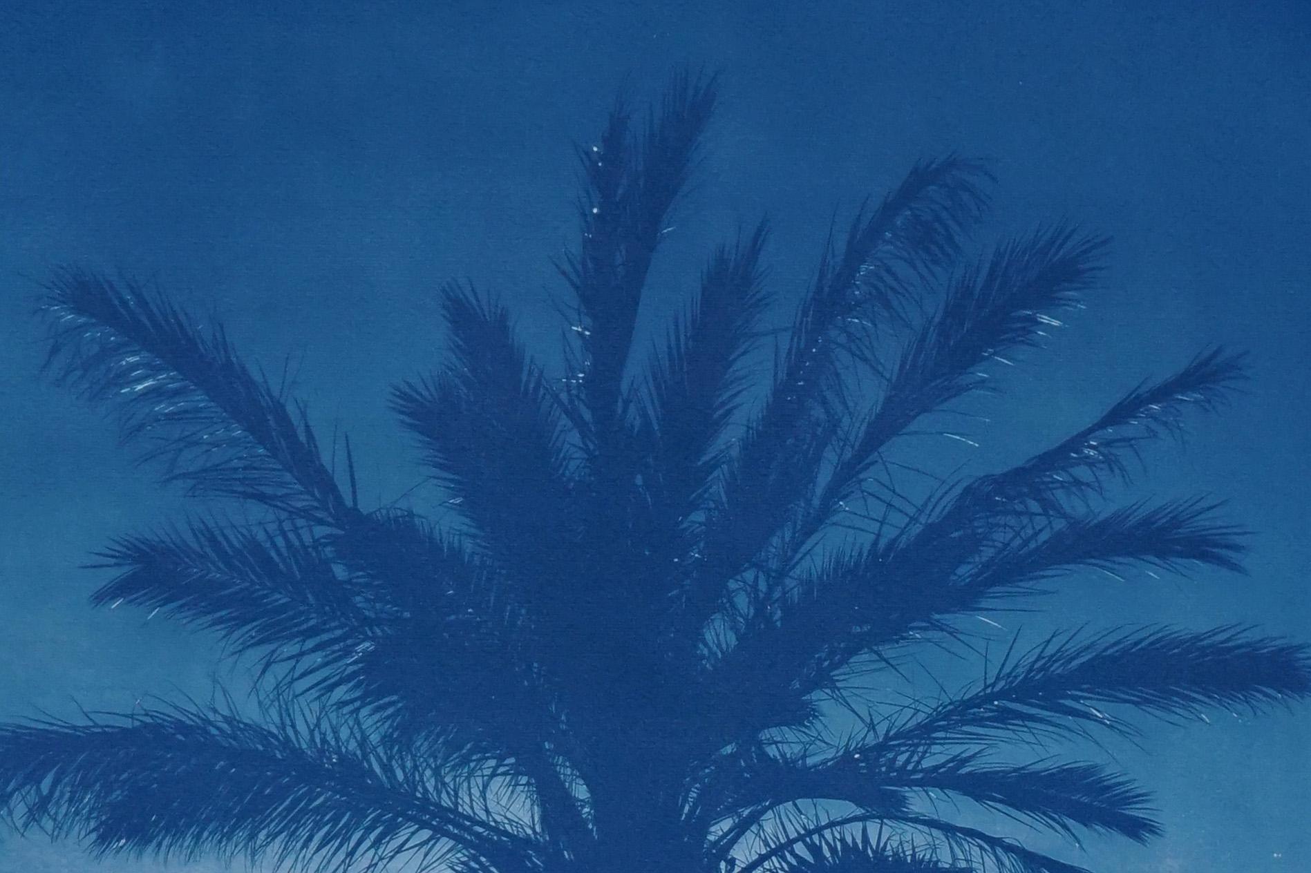 Blaues Triptychon mit Palmenbesatz, tropische botanische Zyanotypie, Aquarellpapier im Angebot 4