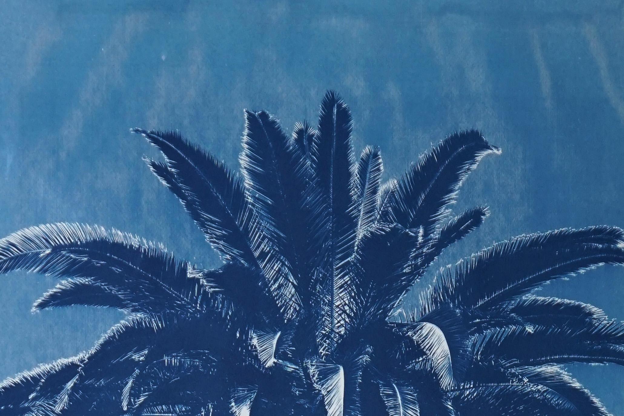 Blaues Triptychon mit Palmenbesatz, tropische botanische Zyanotypie, Aquarellpapier im Angebot 5