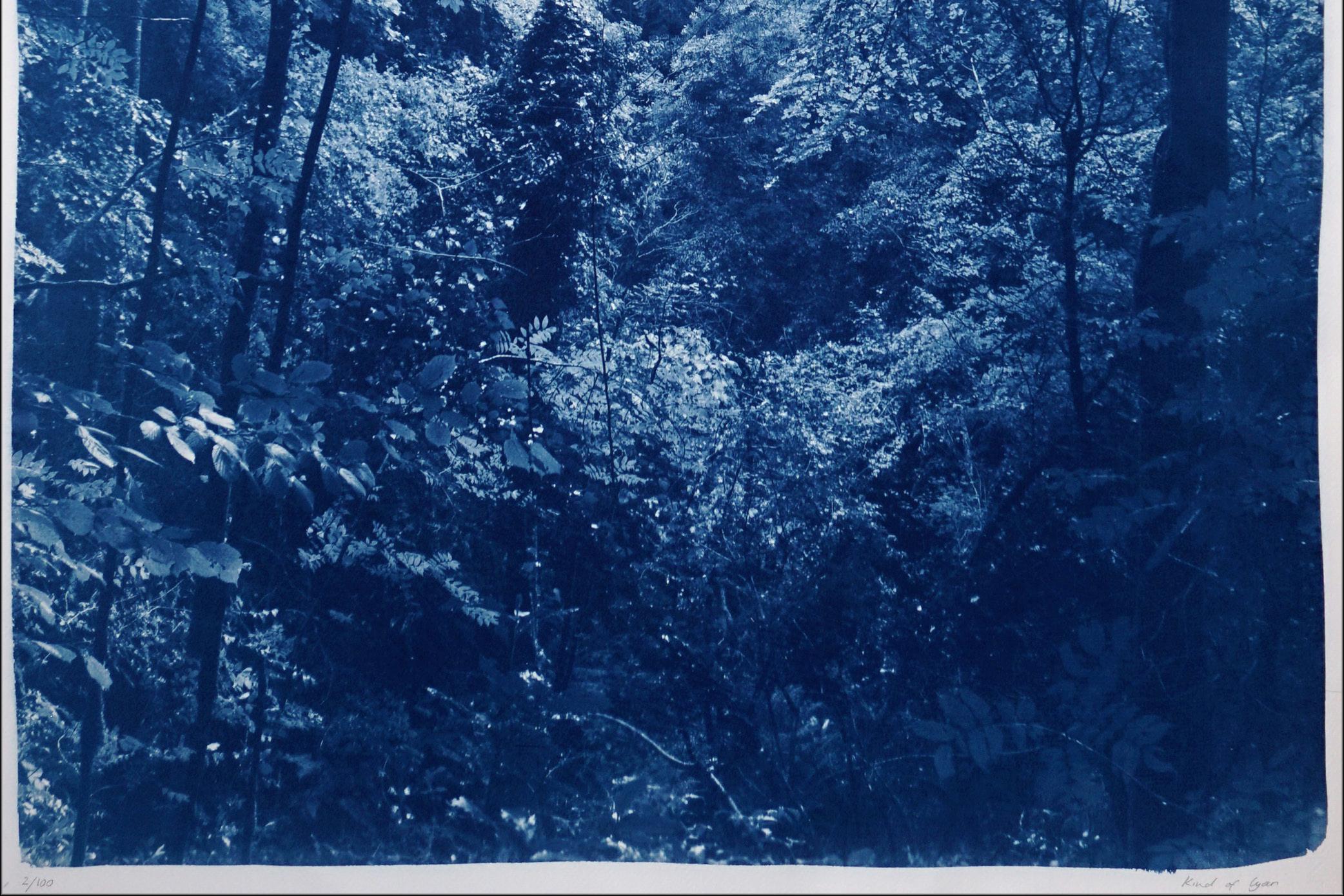 Légère lumière dans les bois, paysage forestier, tons bleus, impression cyanotype faite à la main - Réalisme Print par Kind of Cyan