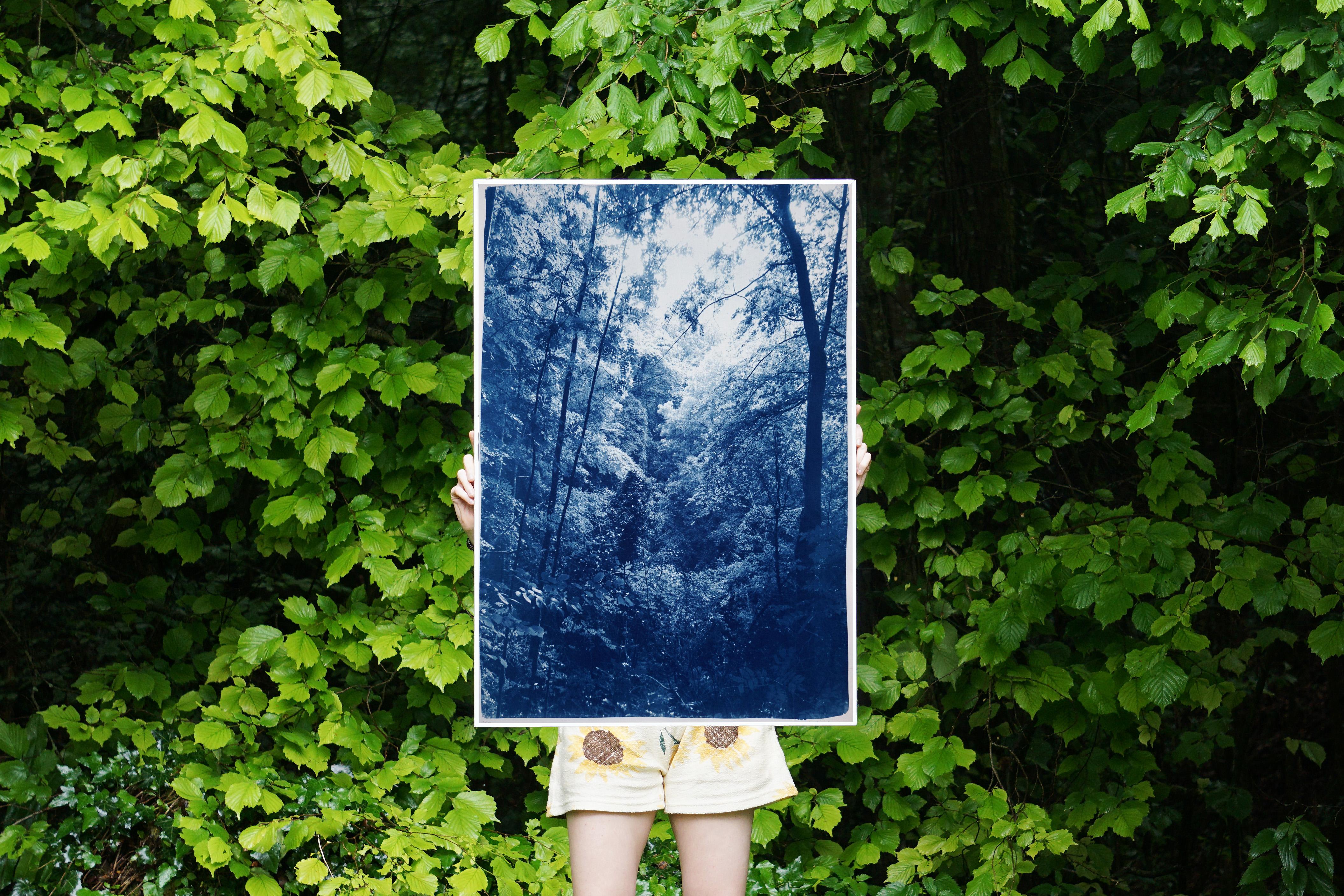 Légère lumière dans les bois, paysage forestier, tons bleus, impression cyanotype faite à la main - Print de Kind of Cyan