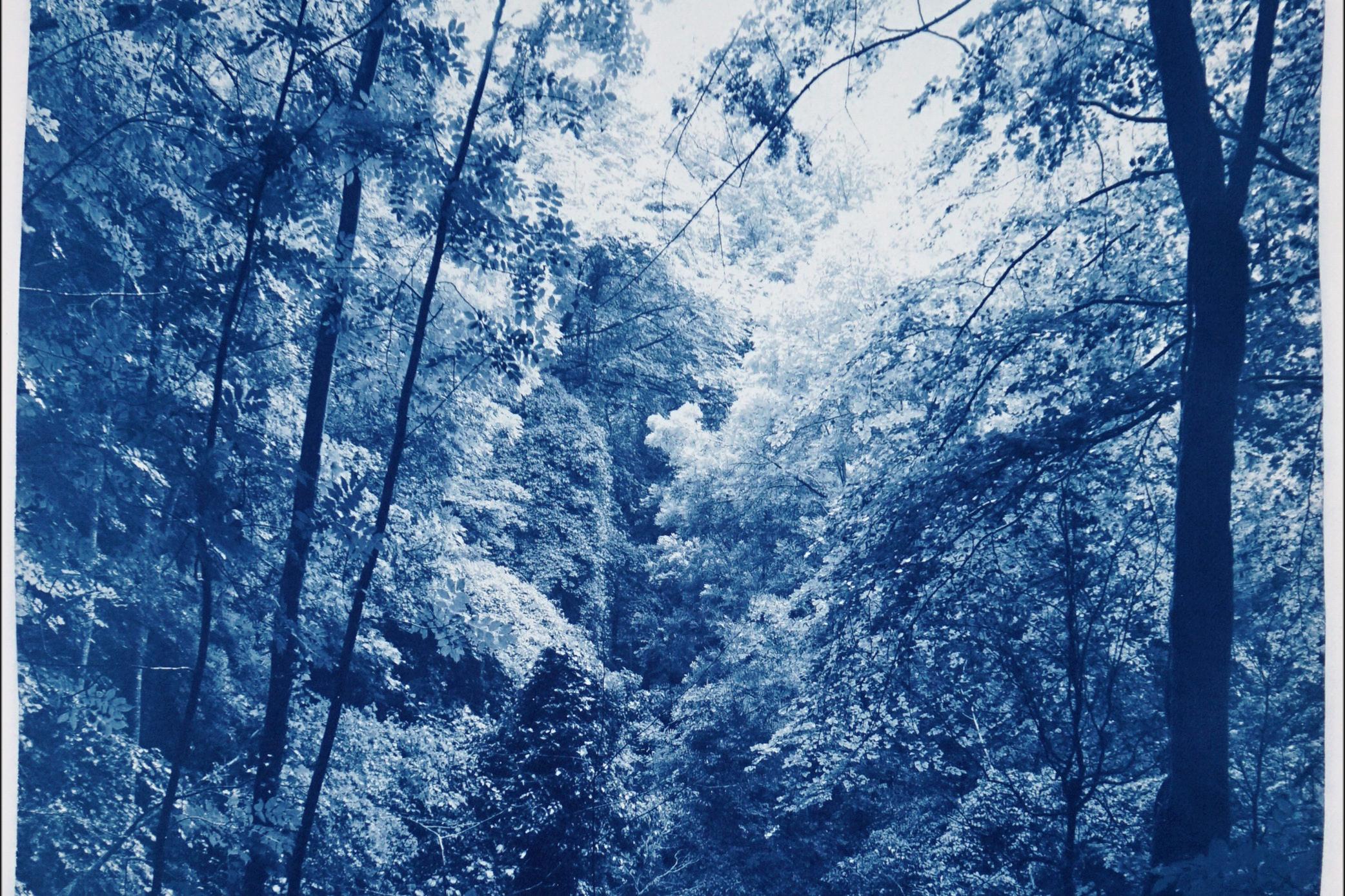 Légère lumière dans les bois, paysage forestier, tons bleus, impression cyanotype faite à la main - Réalisme Print par Kind of Cyan