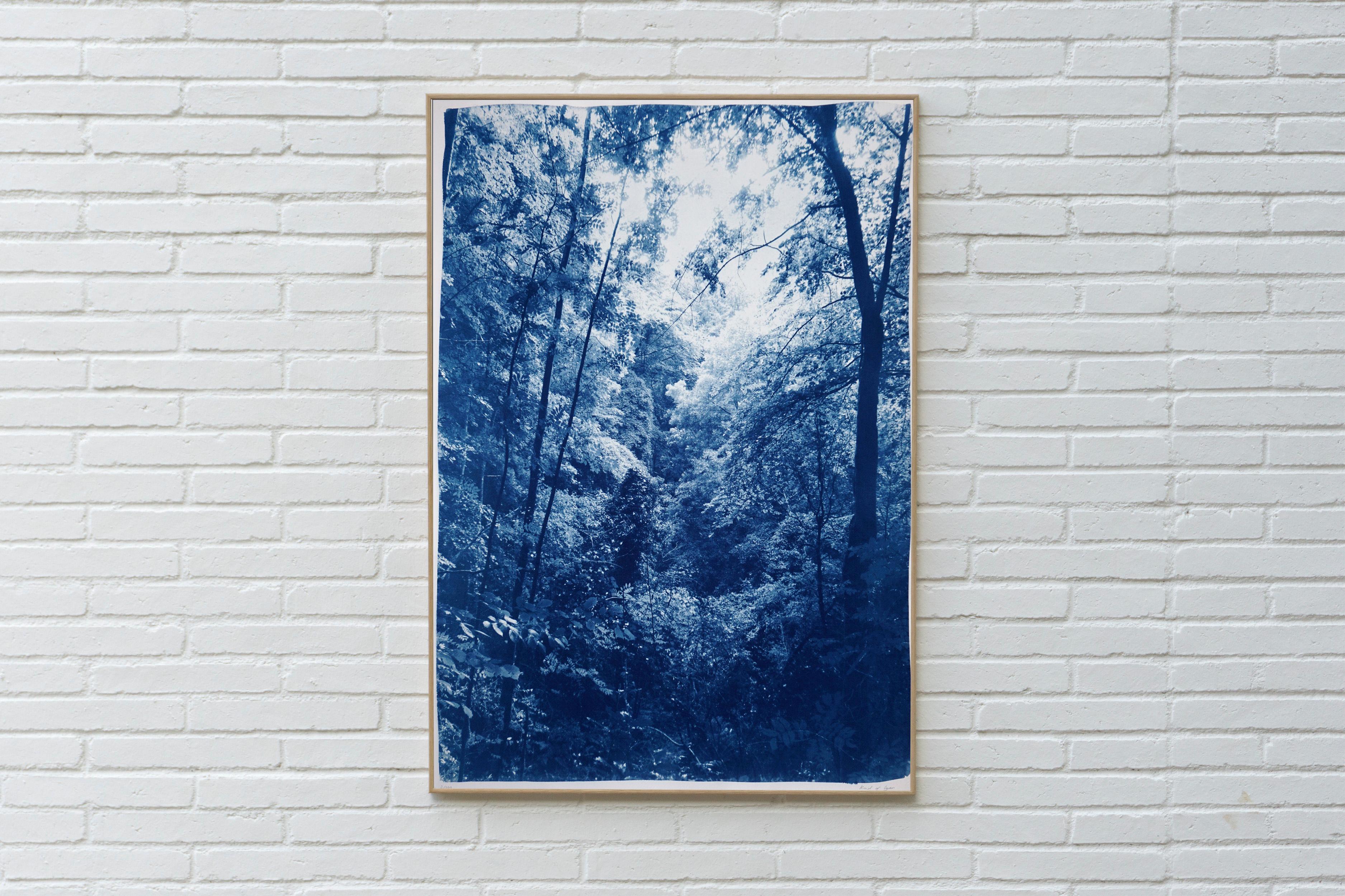 Légère lumière dans les bois, paysage forestier, tons bleus, impression cyanotype faite à la main en vente 1