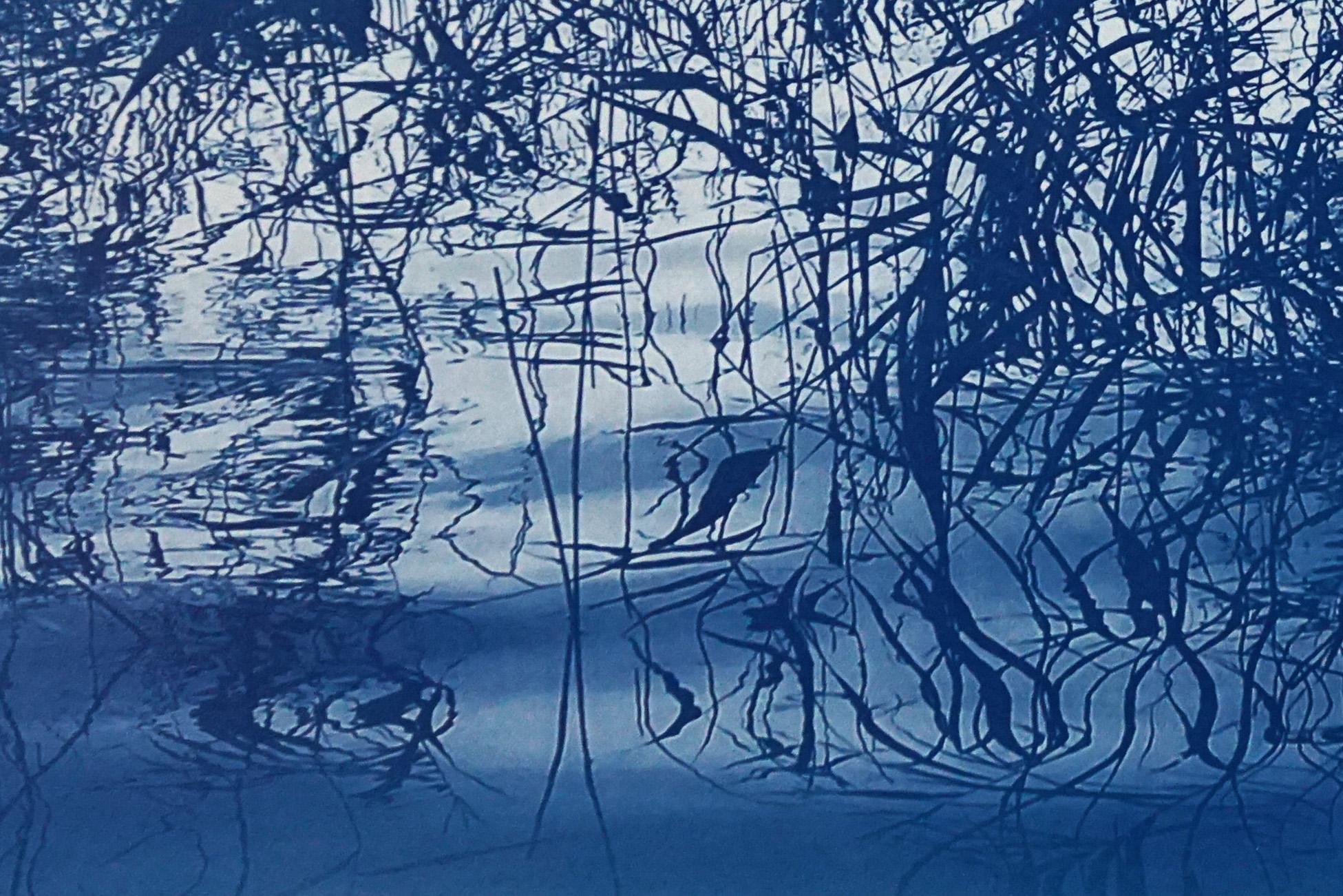 Mystic Louisiana Marsh Landscape in Blue Tones, Tirage cyanotype en édition limitée  en vente 1