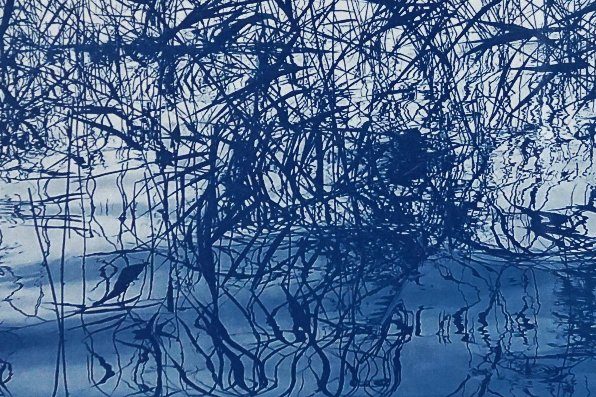 Mystic Louisiana Marsh Landscape in Blue Tones, Tirage cyanotype en édition limitée  en vente 2