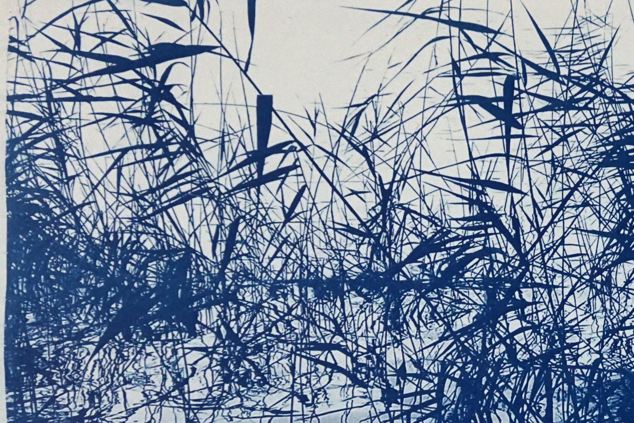 Mystic Louisiana Marsh Landscape in Blue Tones, Tirage cyanotype en édition limitée  en vente 6