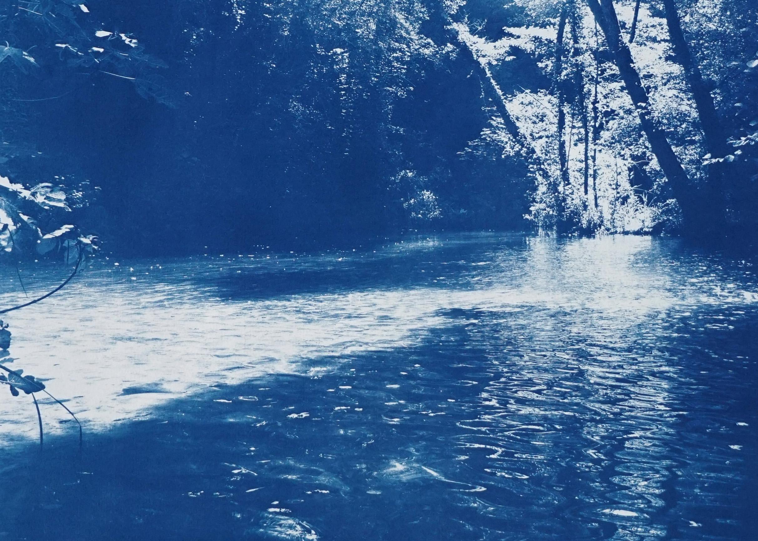 Romantic Landscape of Scandinavian Enchanted Forest, Large Lake Print Cyanotype For Sale 3
