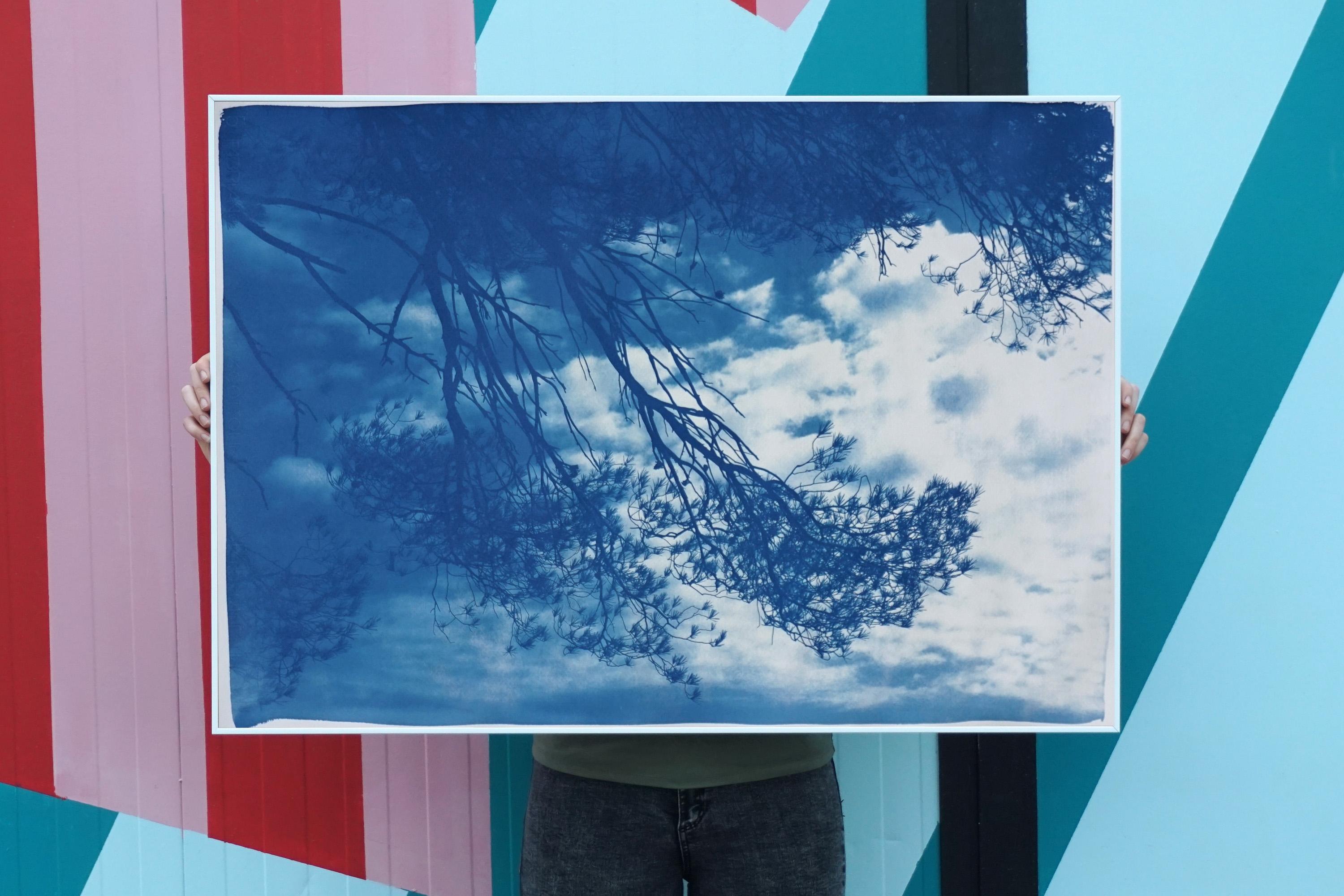 Vista al mar del pino de Malibú, paisaje californiano en tonos azules, cianotipia hecha a mano, papel - Art Realista de Kind of Cyan