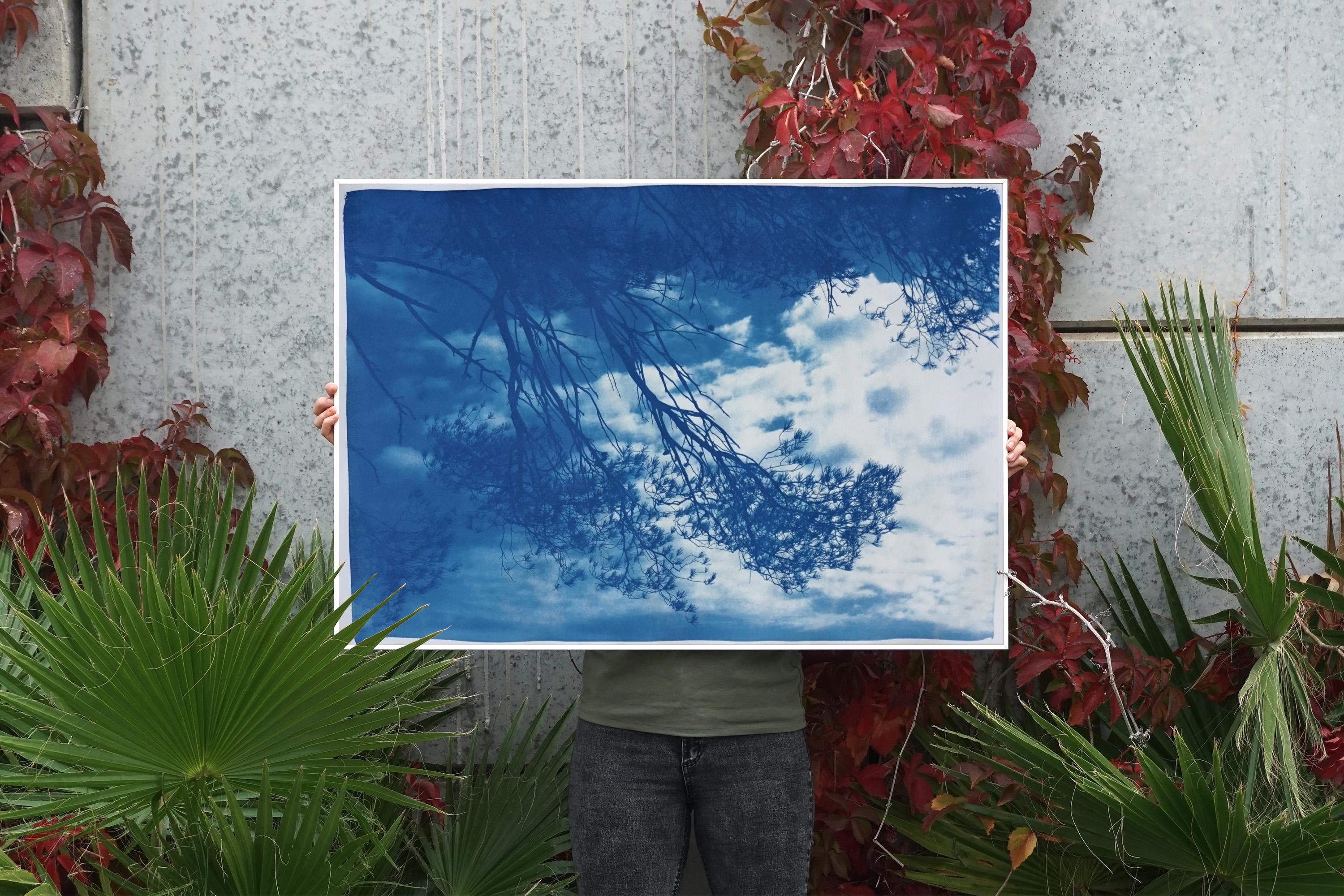 Vista al mar del pino de Malibú, paisaje californiano en tonos azules, cianotipia hecha a mano, papel en venta 1