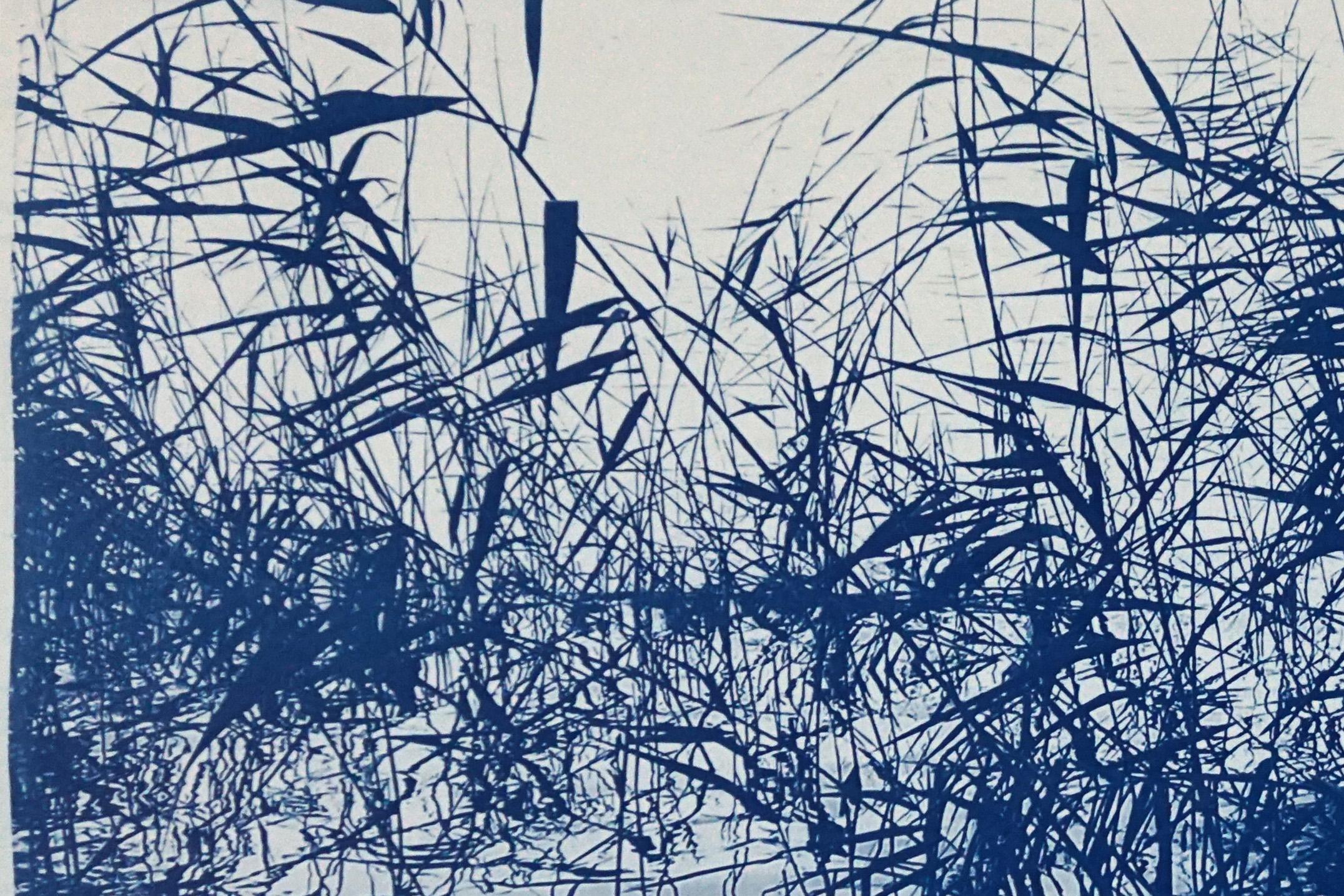 Mystic Louisiana Marsh Landscape in Blue Tones, Tirage cyanotype en édition limitée en vente 5