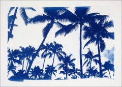 Acapulco Palm Sunset, Cyanotype on Watercolor Paper, 100x70cm, Limited Edition