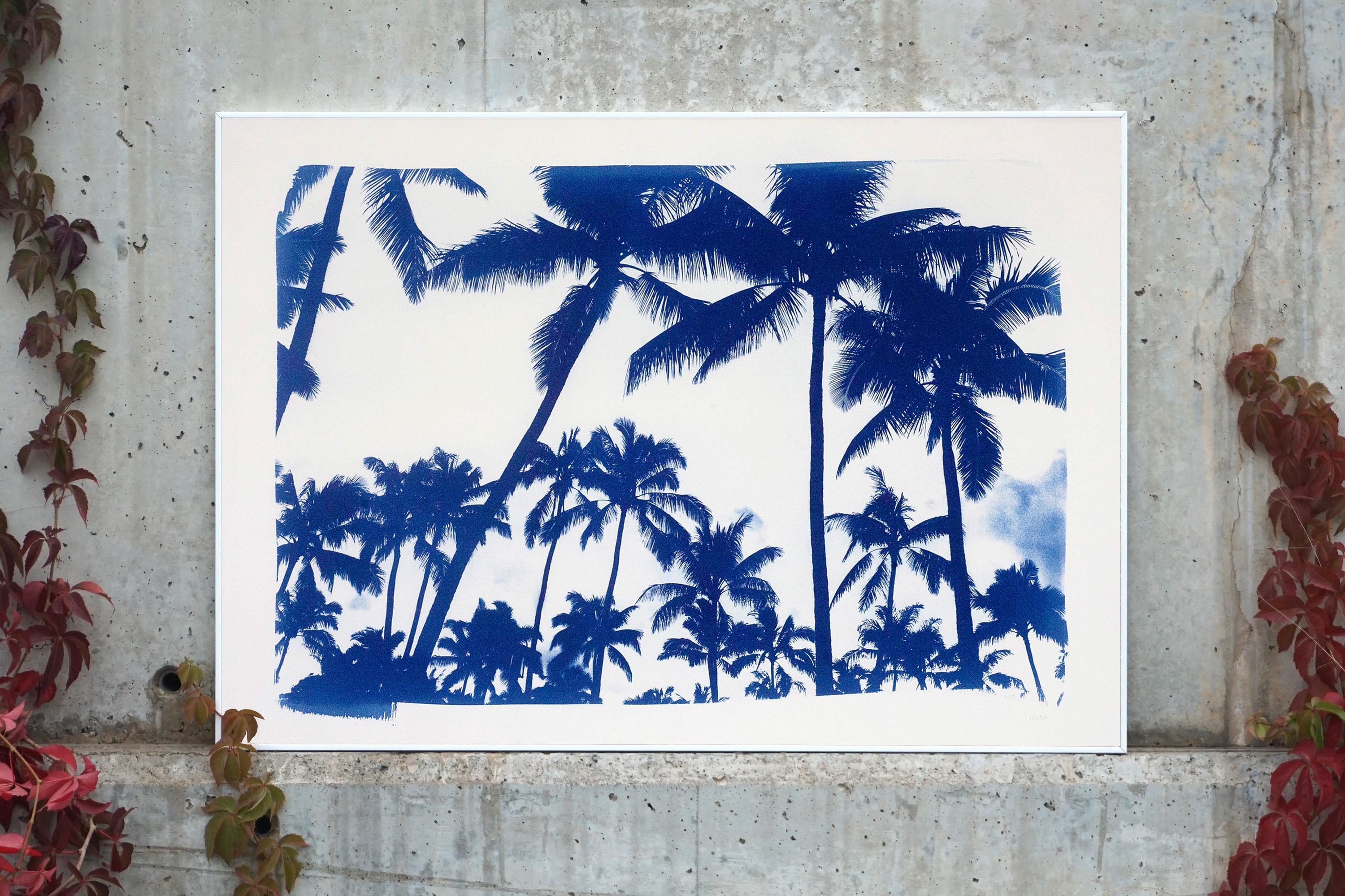 Acapulco Palm Sunset, Cyanotype on Watercolor Paper, 100x70cm, Limited Edition  - Contemporary Print by Kind of Cyan