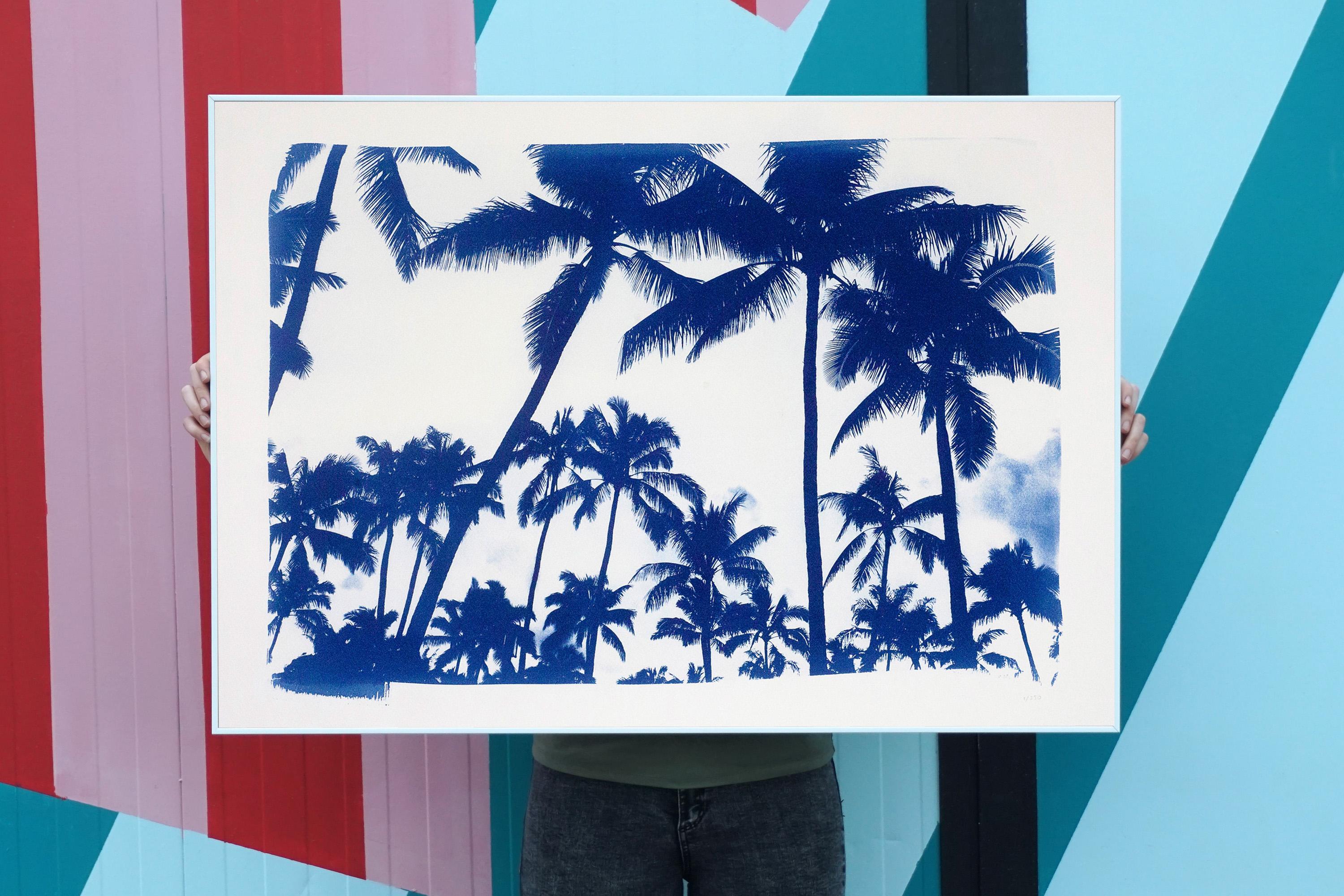 This is an exclusive handprinted limited edition cyanotype.
This image is of a coastal landscape showing the silhouettes of palm trees on an Acapulco beach.

Details:
+ Title: Acapulco Palm Sunset
+ Year: 2019
+ Edition Size: 50
+ Stamped and