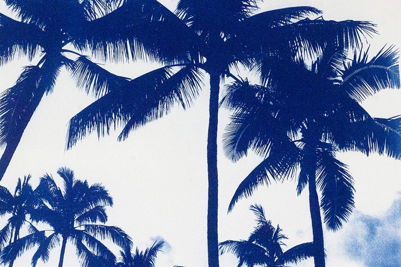 Acapulco Palm Sunset, Cyanotype on Watercolor Paper, 100x70cm, Limited Edition  3